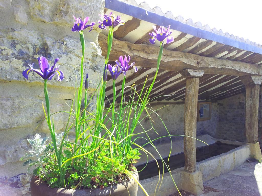Casa Rural Basaula Muneta Exteriör bild
